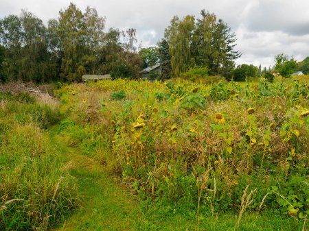 Strandgård Strand